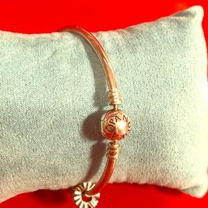Pandora bracelet